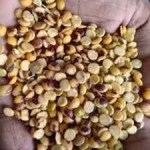 Arahar daal desi chilka 500GM