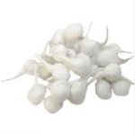 Rakesh COTTON BATTI GOL